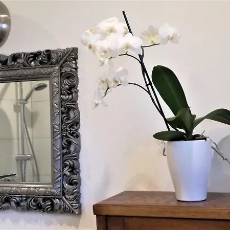 Ferienwohnung Bigorne * Вассербург
